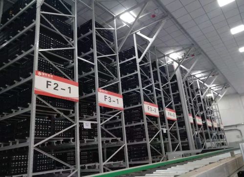 智能仓储大势所趋，雷柏机器人以卓越方案引领行业变革